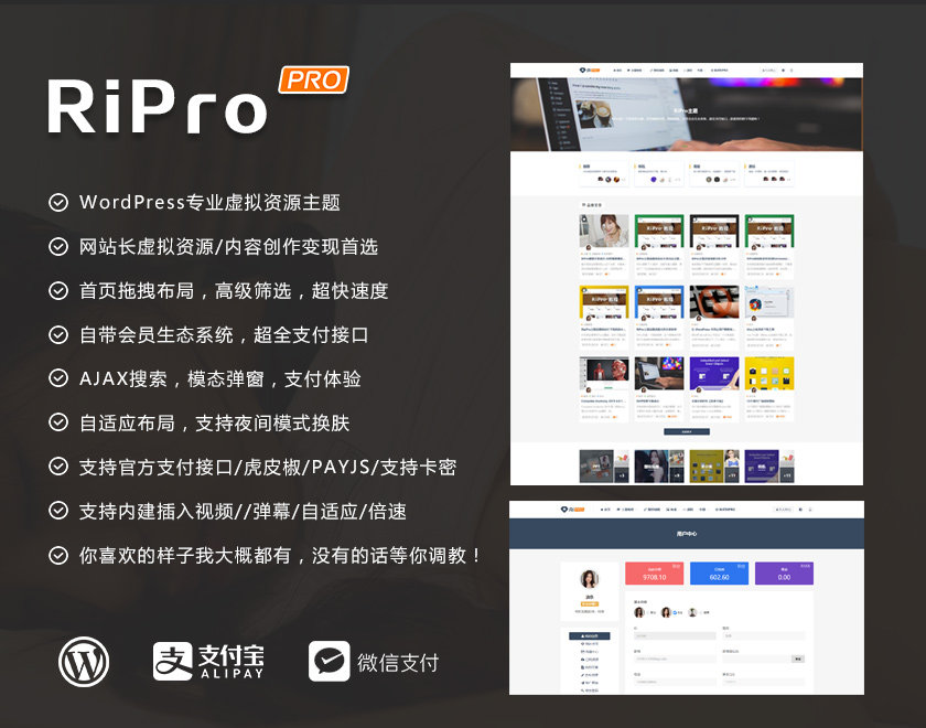 图片[1]-RiPro主题免授权破解版，网站源码，精品软件，免费资源，博客网